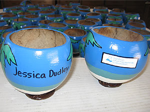 Click to enlarge - Eco-friendly corporate sales gift