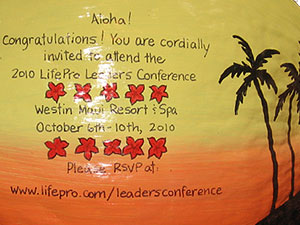 Click to enlarge - Eco-friendly corporate sales gift