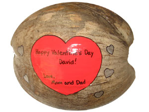 Valentines Gift Hand Painted Coconut