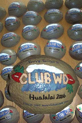 Click to enlarge - Invitations Hand Painted Half Shell Coconut