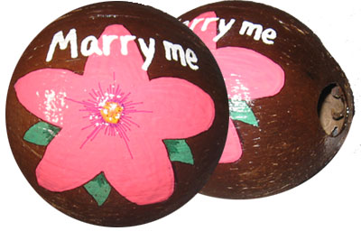 Unique and Unusual Marriage Proposal ideas