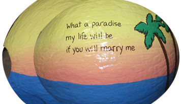 Unique and Unusual Marriage Proposal ideas