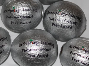 Platinum awards painted coconuts advertising specialty