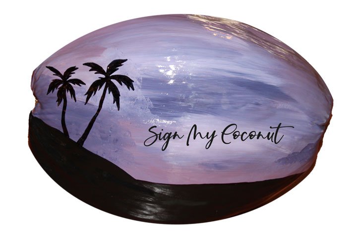 Painted Coconut Guestbook for wedding or party