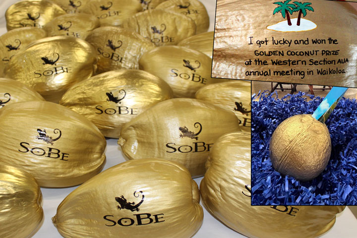 The Golden Coconut Award groundbreaking award