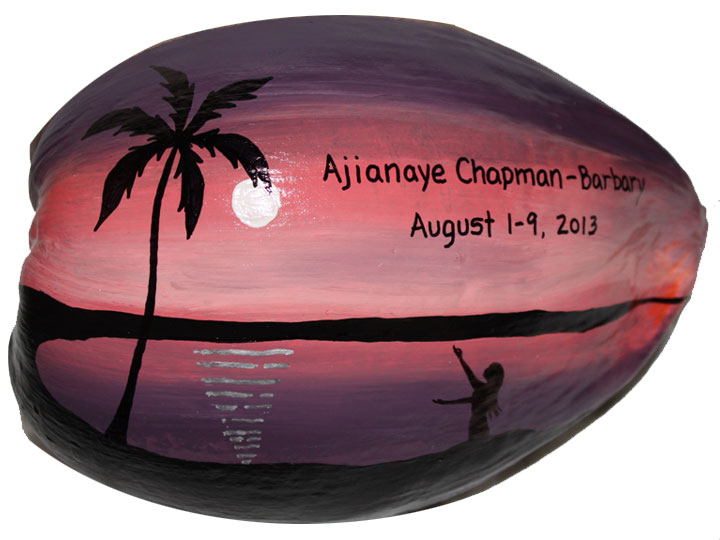 sunset painted on a coconut