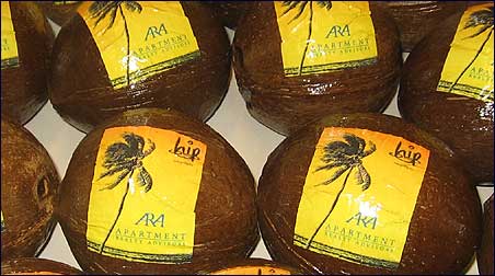 Unique promotional items - coconuts with label service