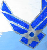 Custom Painted Air Force logo